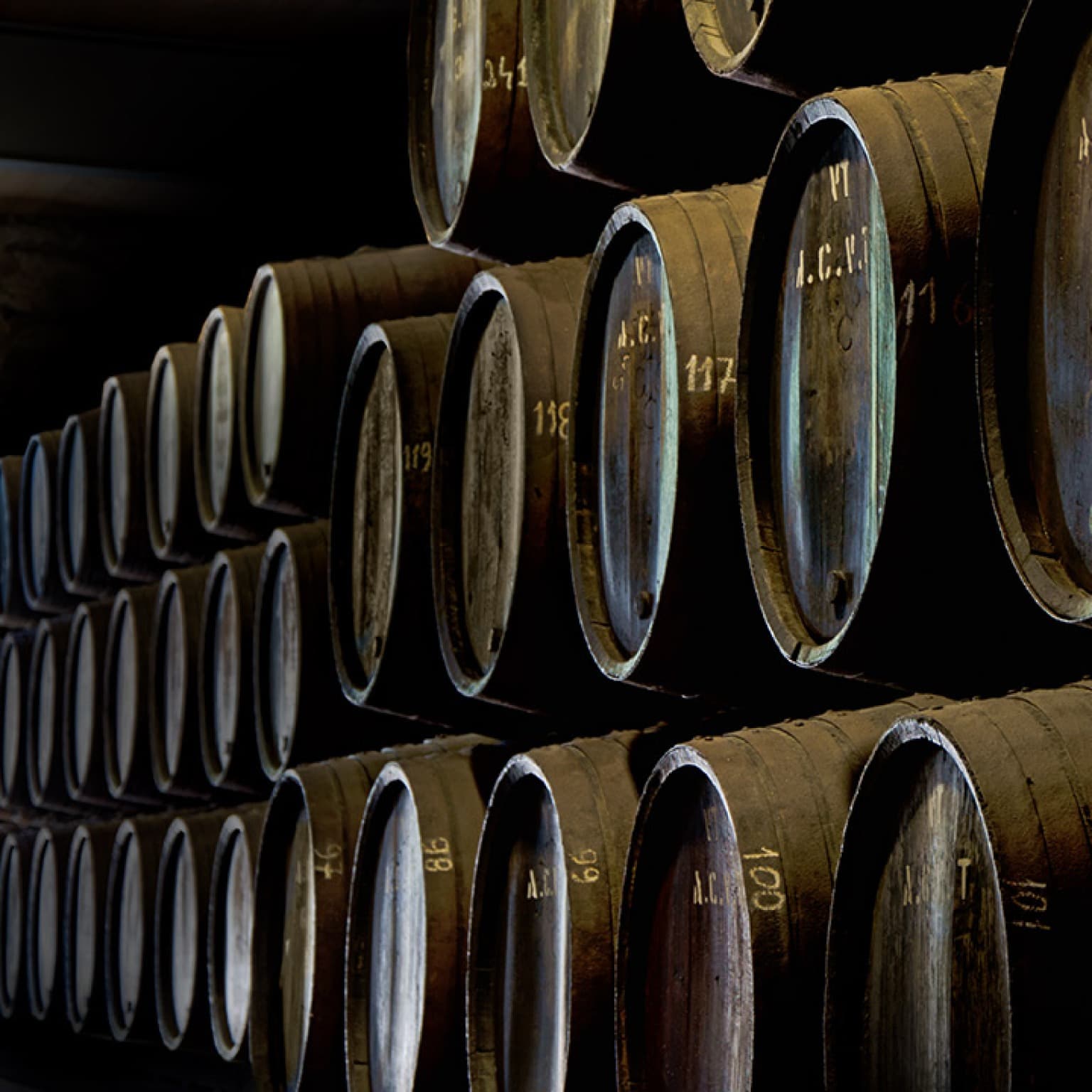 The Complete Porto Wine Cellar 2025 Guide