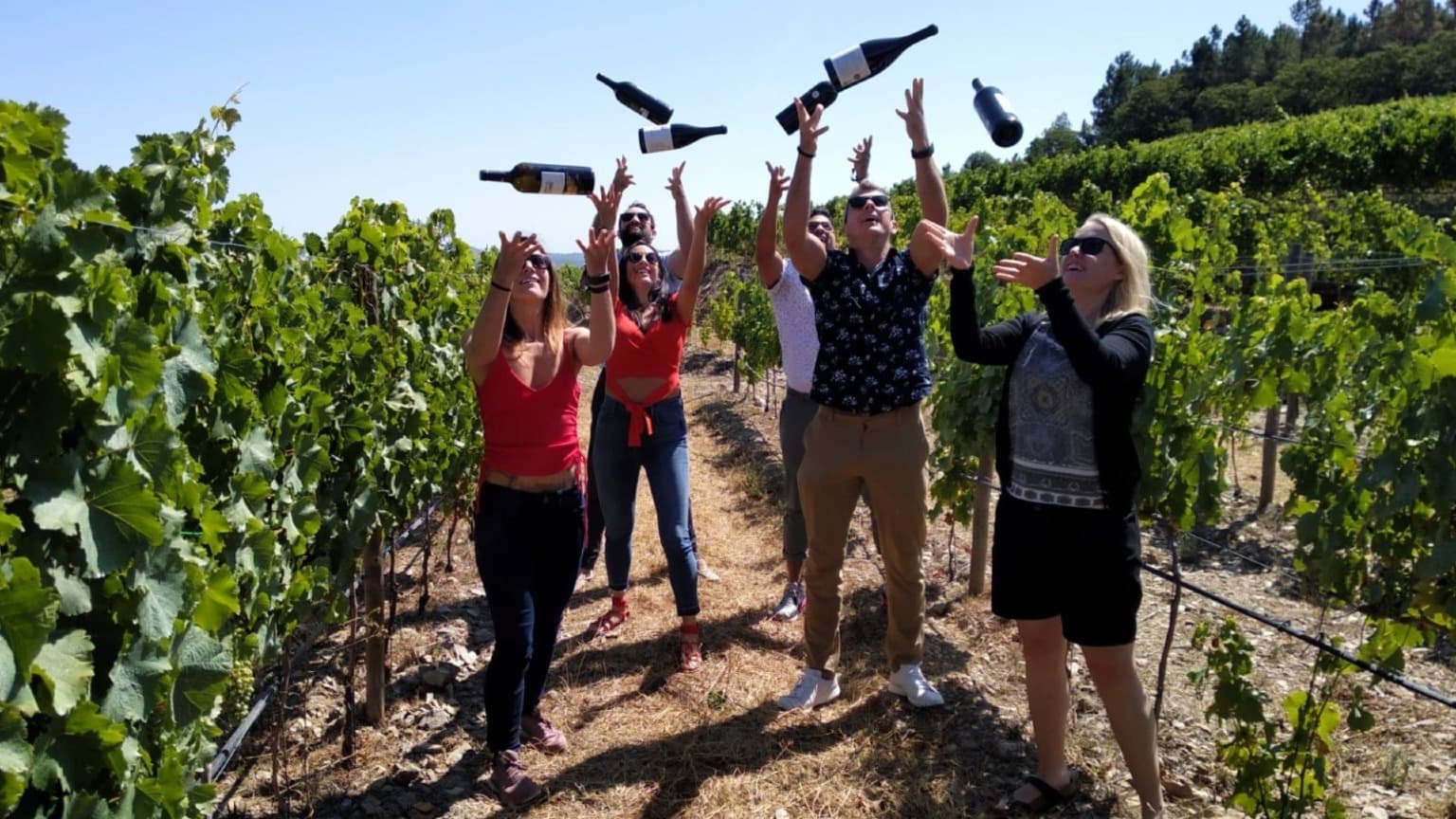 Happy guests celebrating in a Douro vineyard on a Cooltour Oporto small-group Douro Valley wine tour from Porto