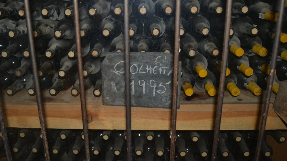 Vieilles bouteilles de vin de Porto à la Quinta Santa Eufemia, partenaire de Cooltour Oporto