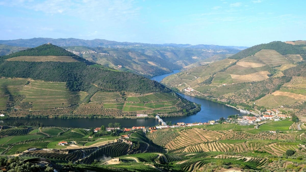 Scenic view from Casal de Loivos viewpoint overlooking the Douro Valley vineyards and river during a guided Douro Valley Wine Tour with Cooltour Oporto