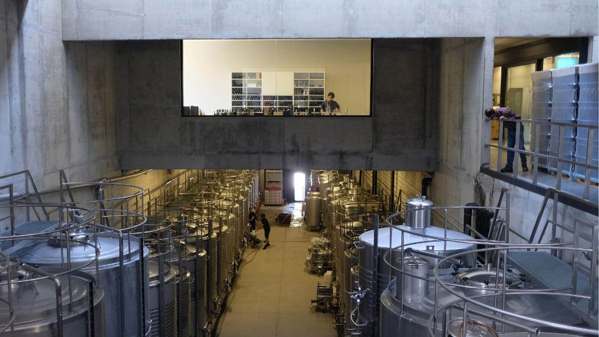 Winemaker working in the wine lab at Quinta Alves de Sousa during a guided Douro Valley Wine Tour with Cooltour Oporto