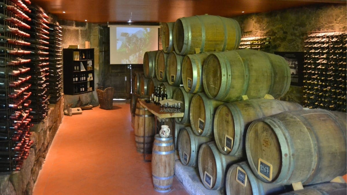 Wine cellar tasting experience in a Douro Valley winery